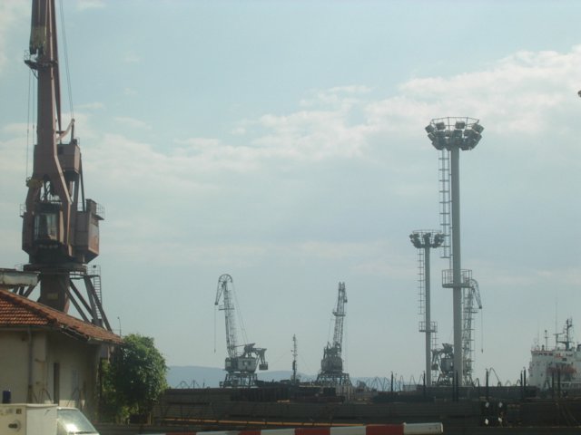 Photograph